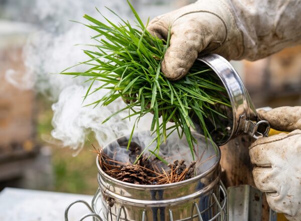 The Beekeeper’s Secret: Mastering the 4-Layer “Oxygen Starvation” Smoker Technique