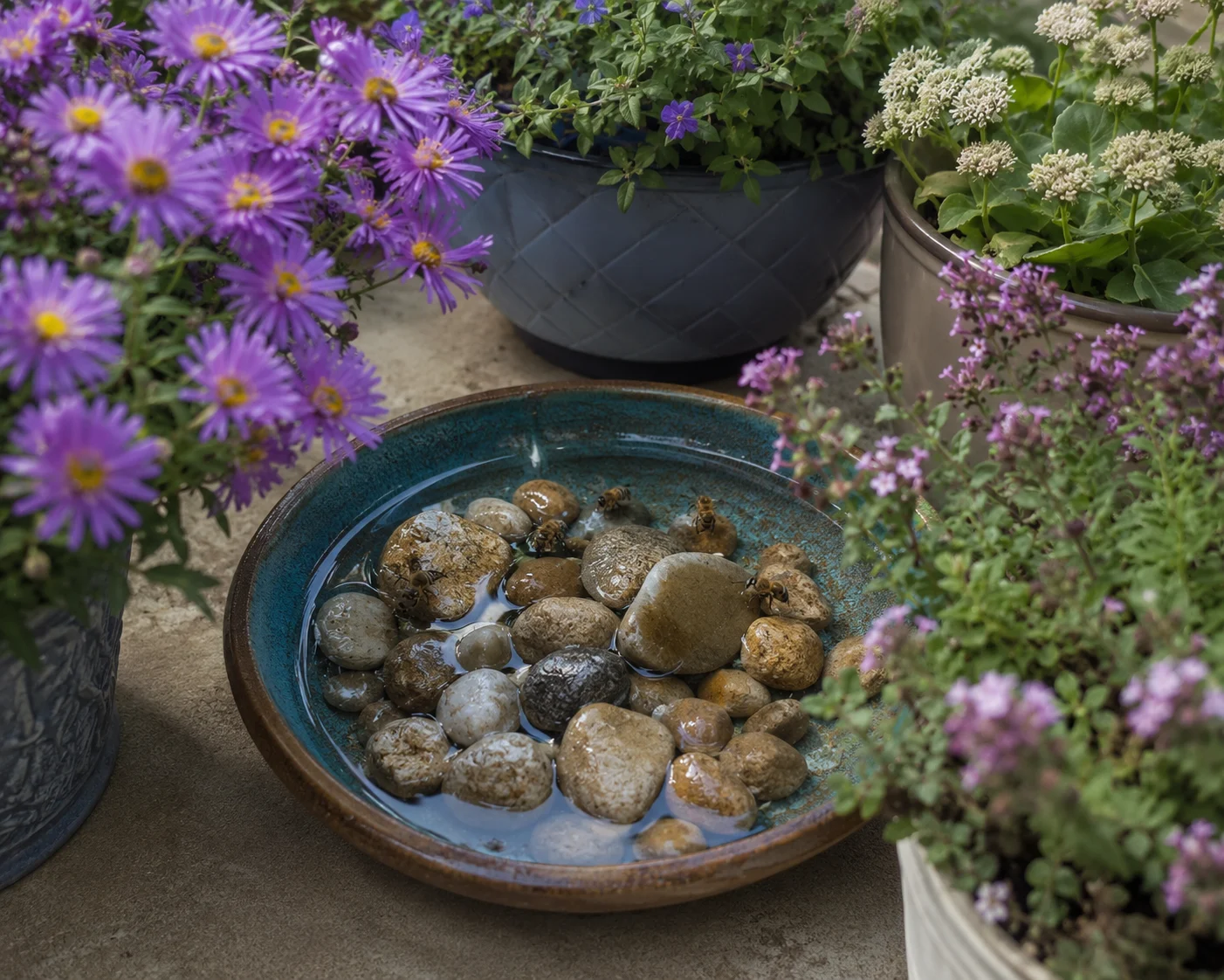 safe water source for bees in a balcony pollinator garden