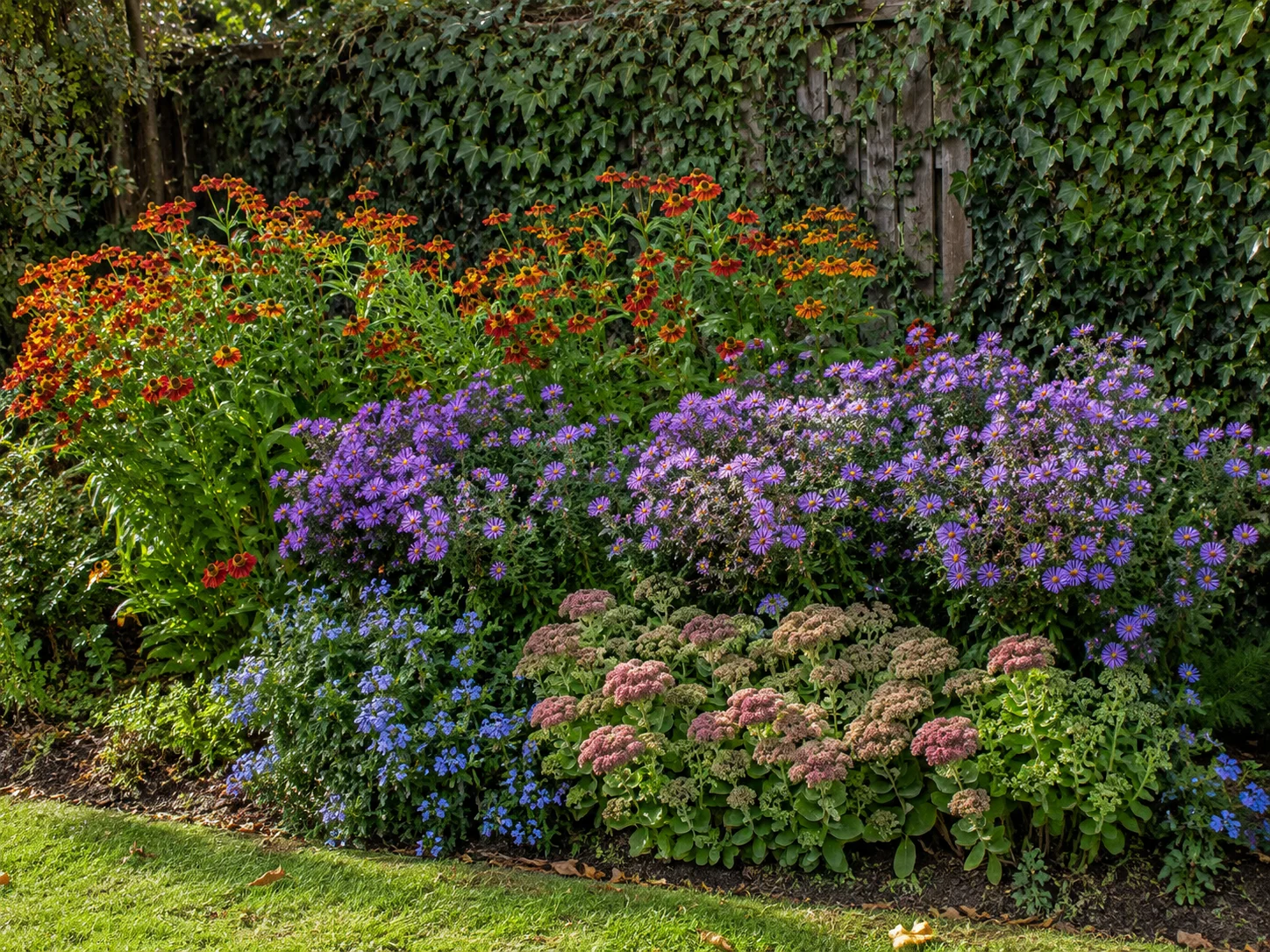 layered autumn bee garden planting design for late season nectar