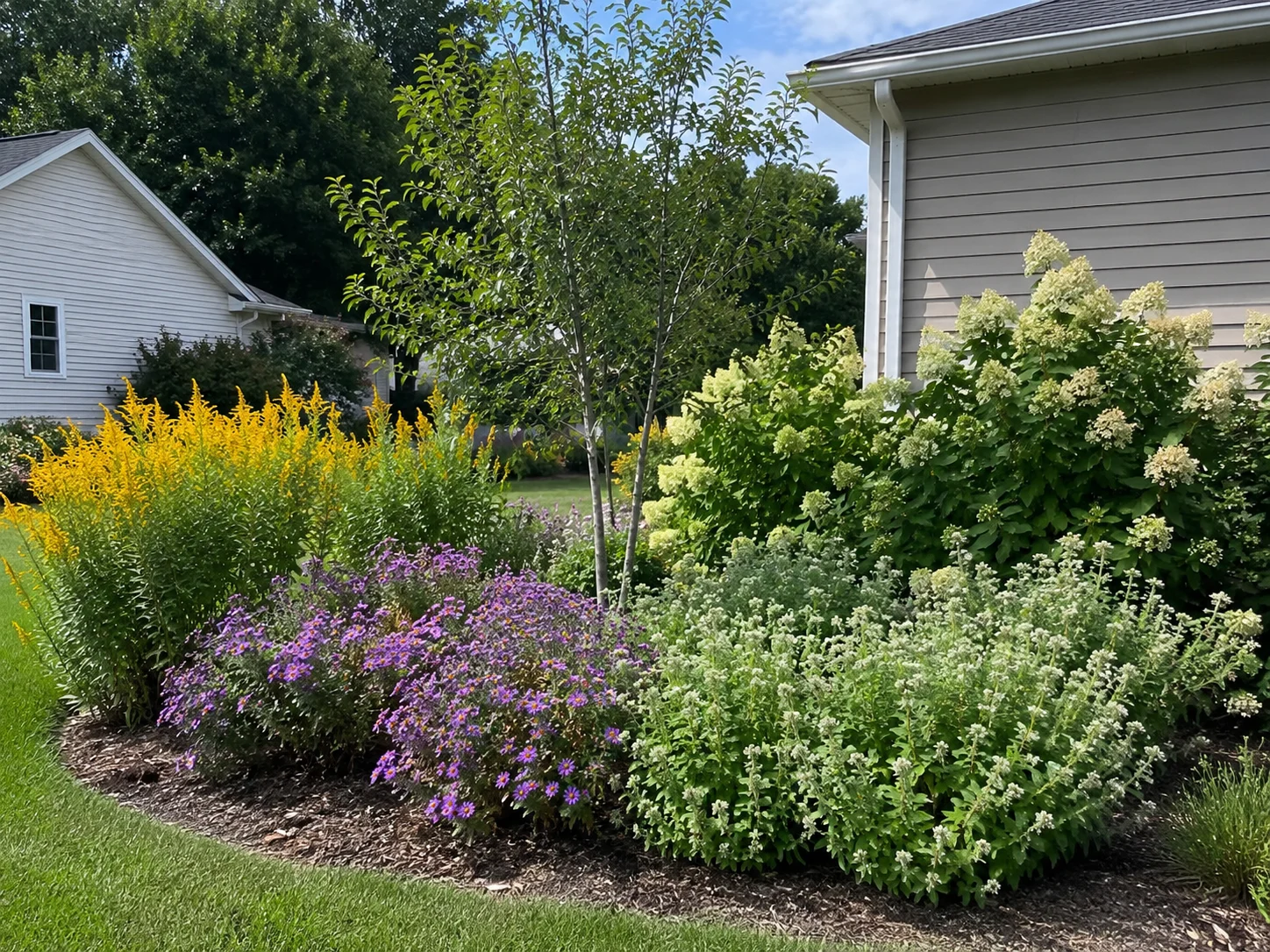 beginner pollinator garden with five easy native plants for bees