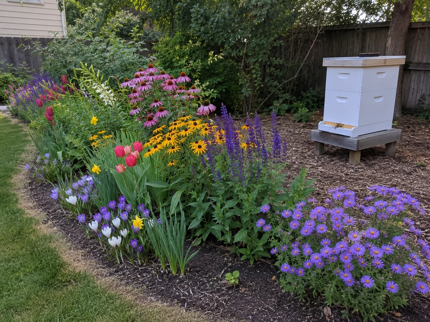 seasonal bee garden near backyard beehive with spring summer and fall flowers
