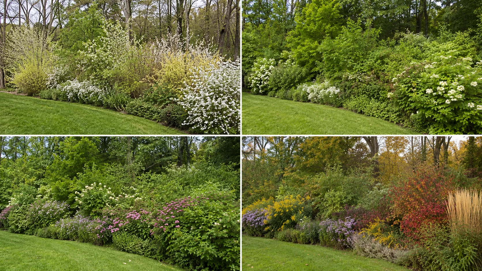 boundary hedgerow bloom sequence from spring through fall for bees