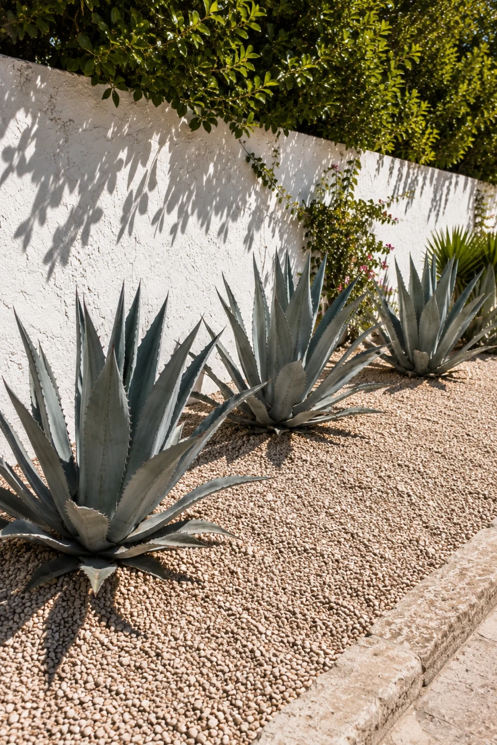 agave succulent gravel bed Mediterranean garden idea
