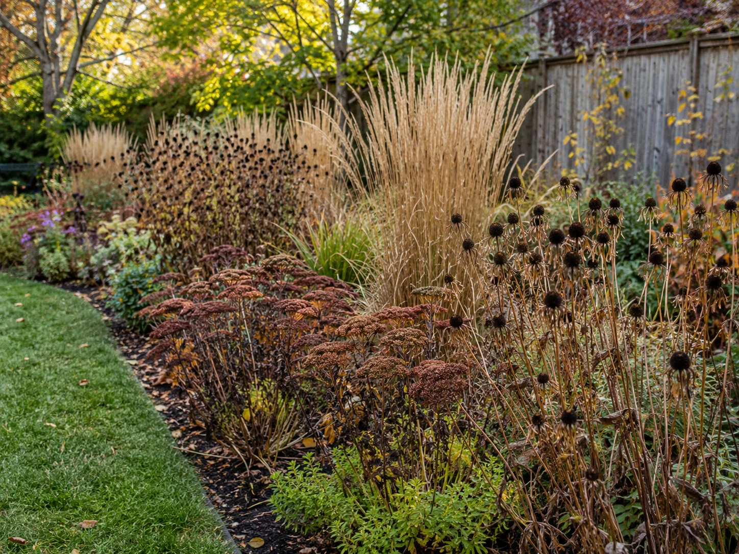 leave stems when cutting back pollinator garden in fall for native bee habitat