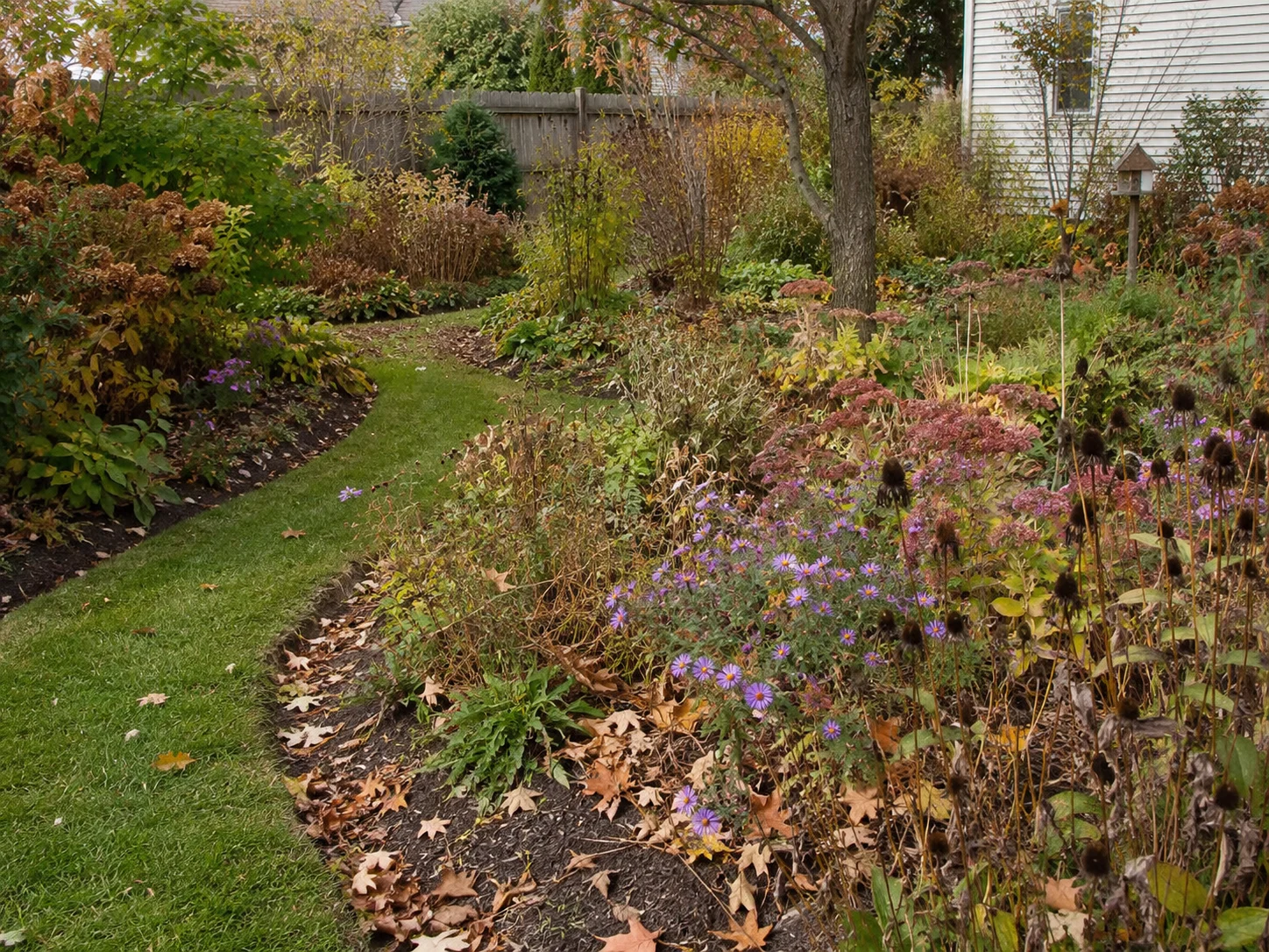 cut back pollinator garden fall without removing bee habitat