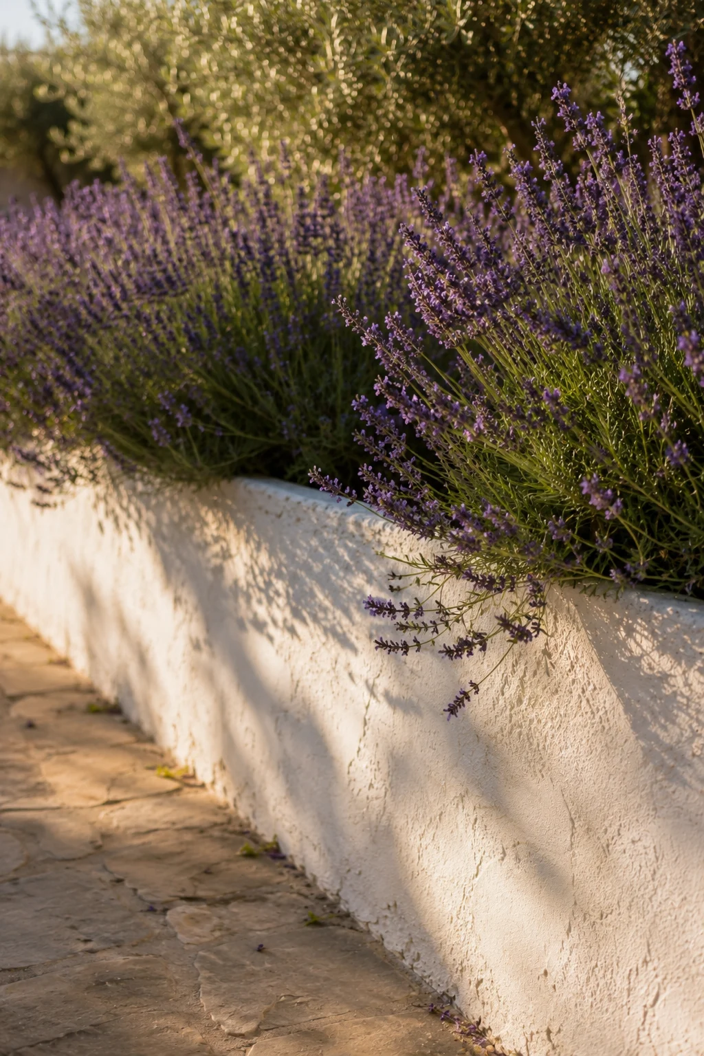 low stucco garden wall Mediterranean idea