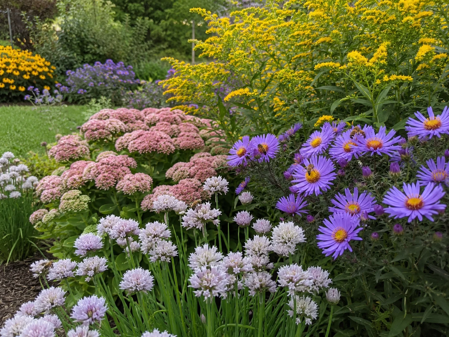 autumn scent map garden with late season flowers for bees