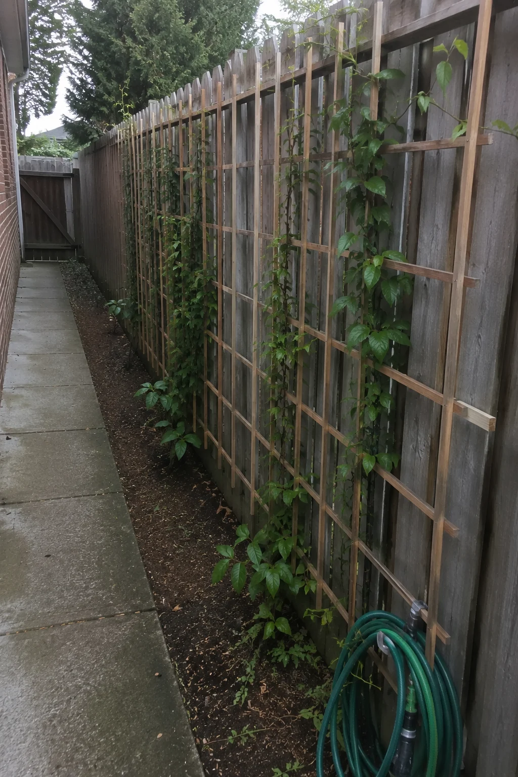 vertical trellis screen narrow side yard garden idea