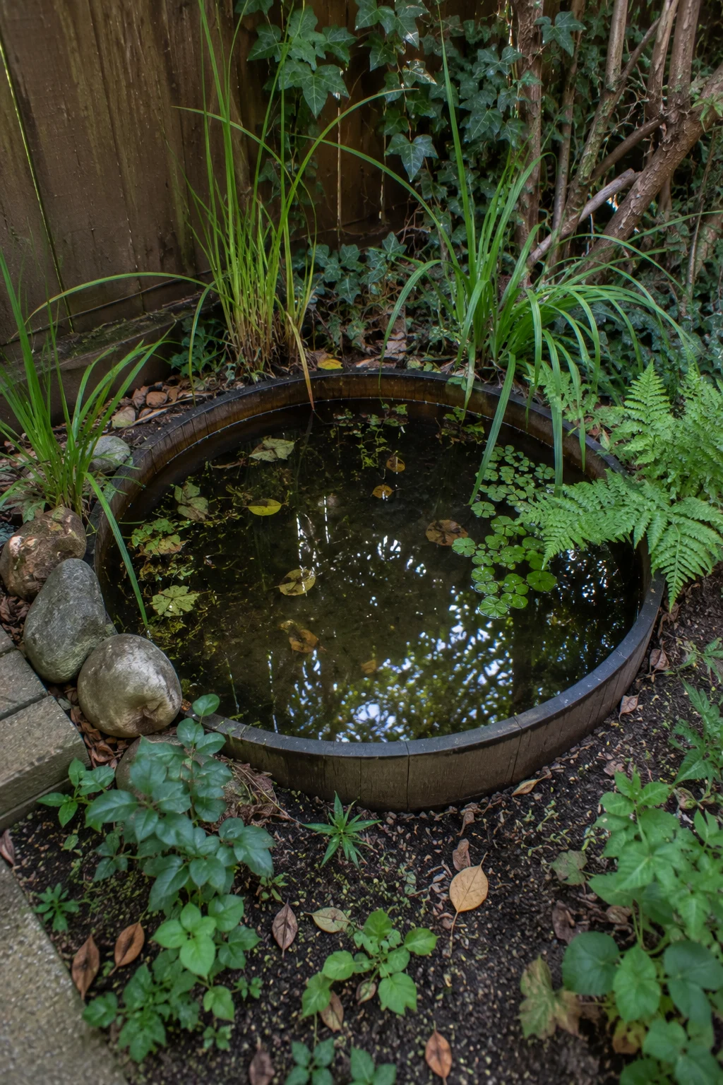 miniature wildlife pond small garden idea