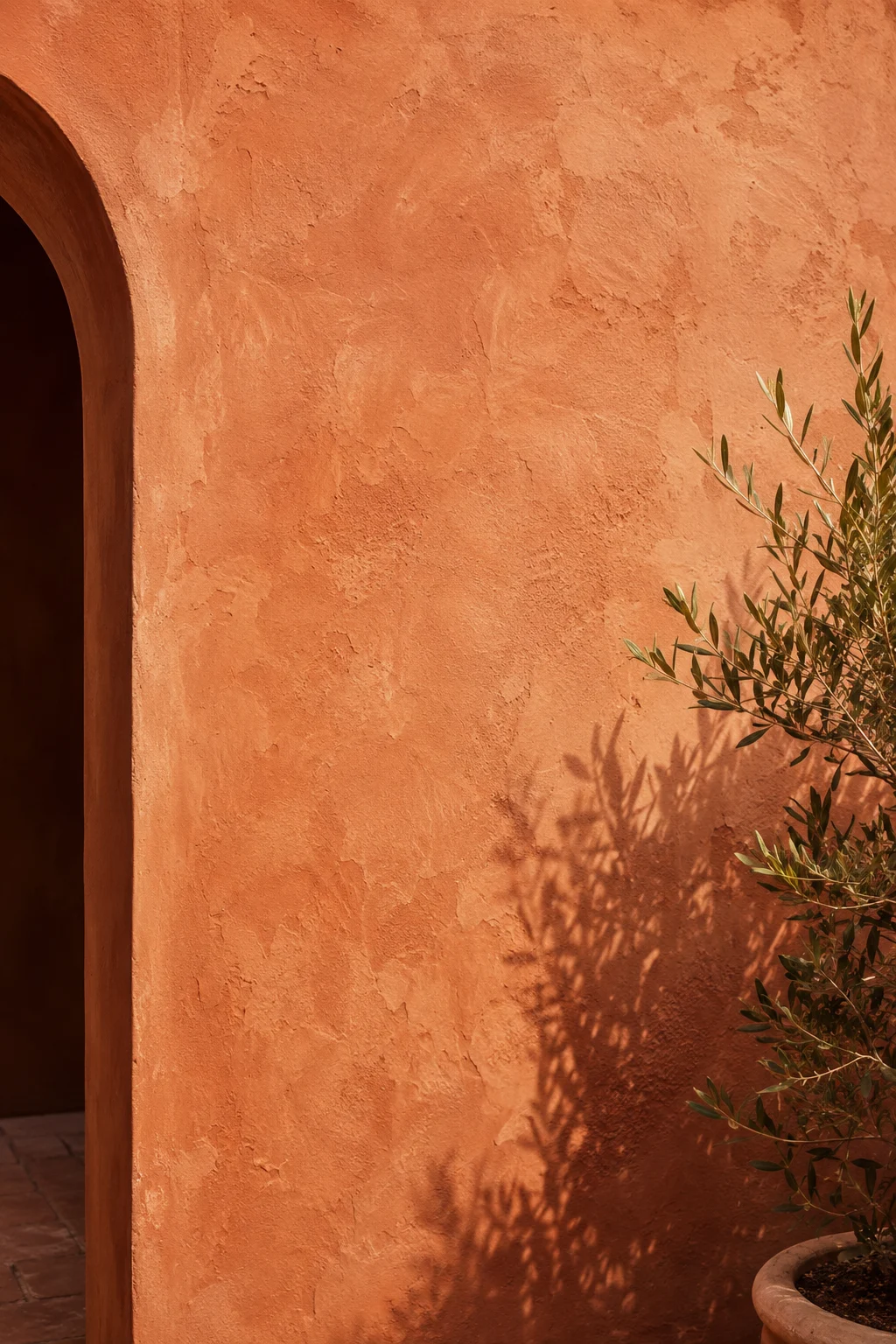 lime plaster stucco wall courtyard garden idea
