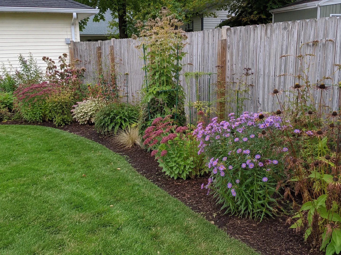 11 Late Summer Garden Tasks That Make Autumn Borders Look Better