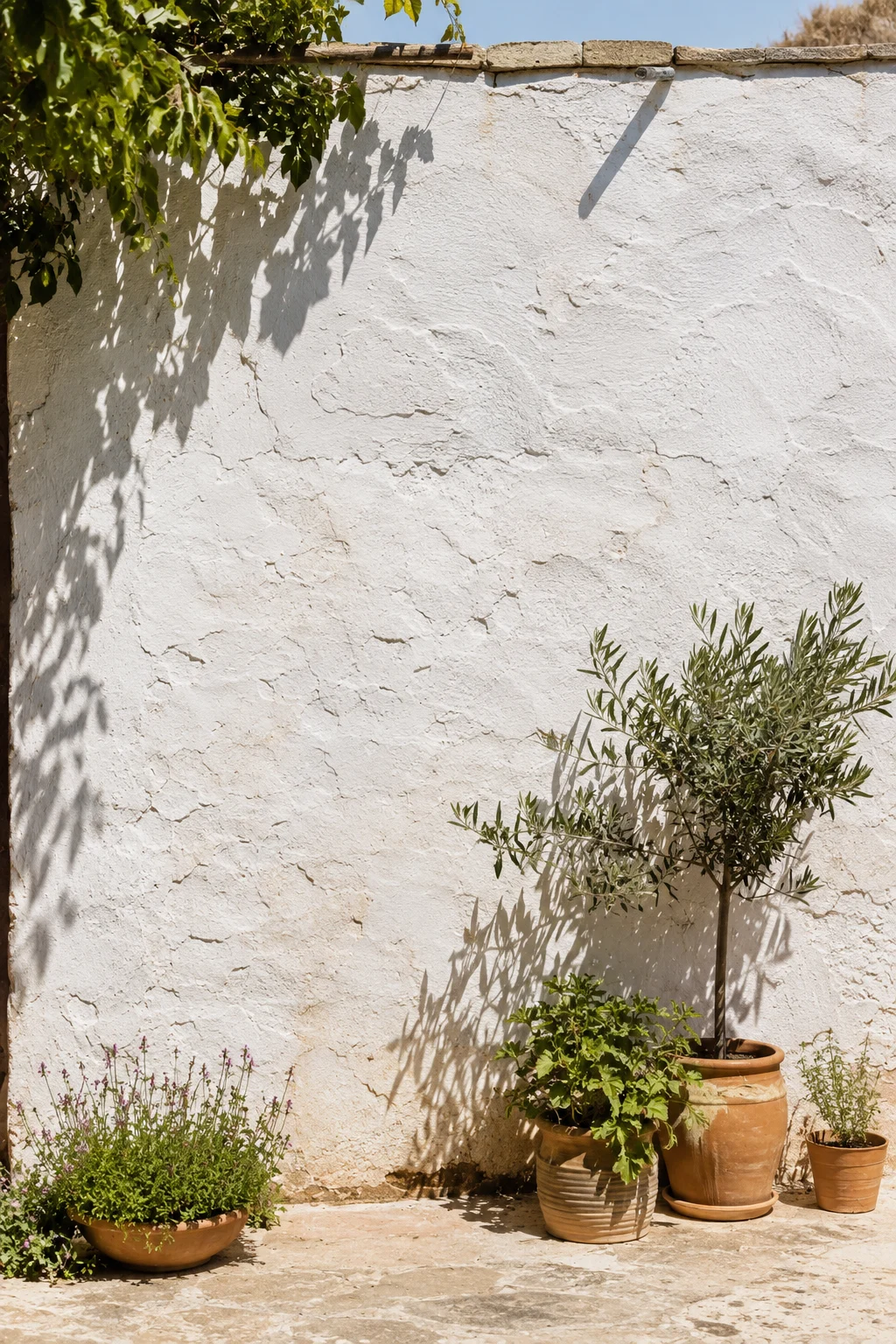 whitewashed stucco wall Mediterranean garden idea