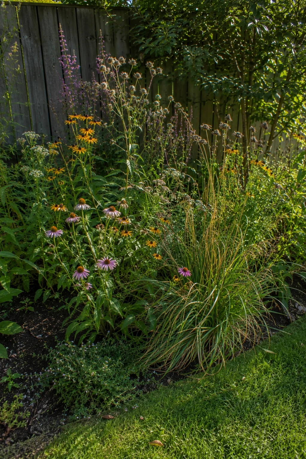 native flowering pocket patch small wildlife garden idea