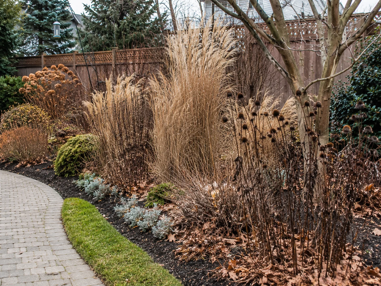 pollinator garden winter prep standing seedheads grasses leaf mulch beds clean paths habitat