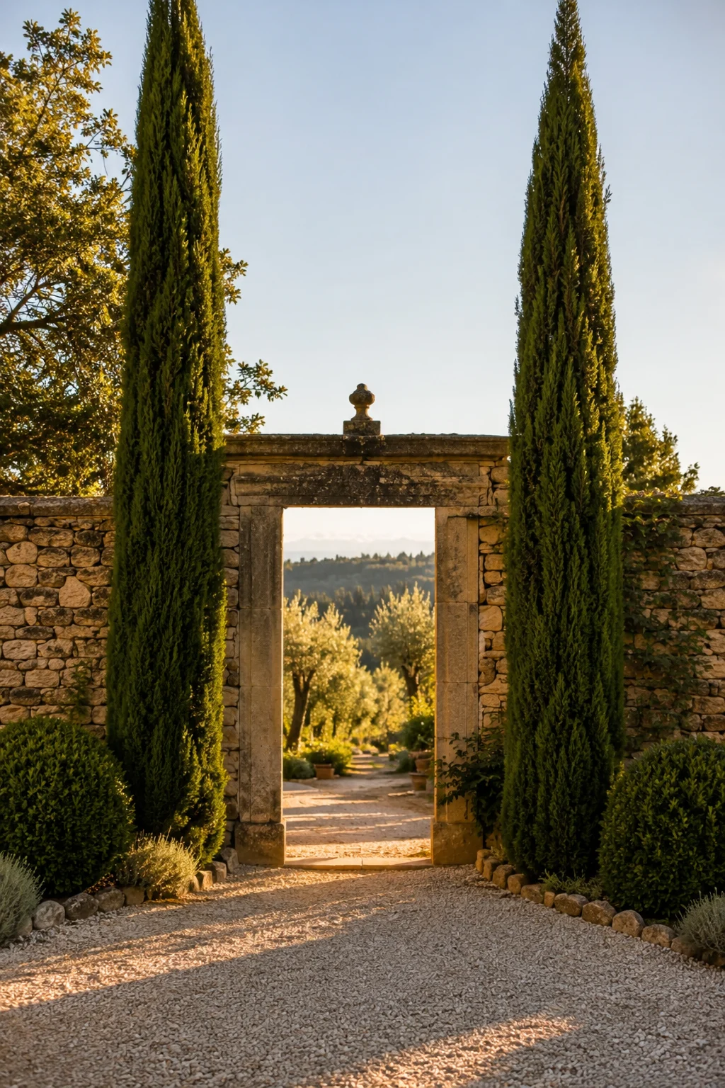 cypress trees Mediterranean garden idea