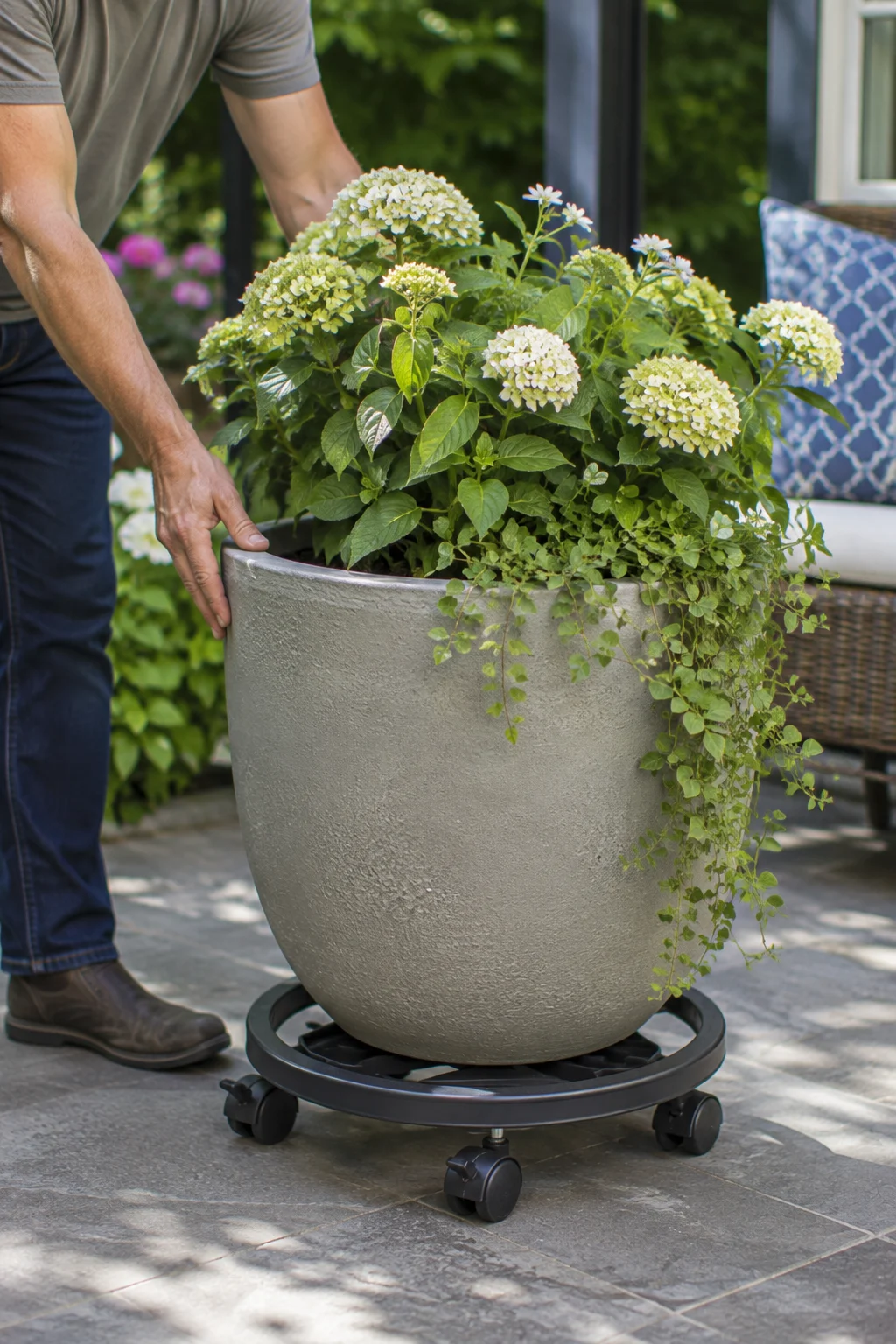 wheeled plant caddy container garden idea
