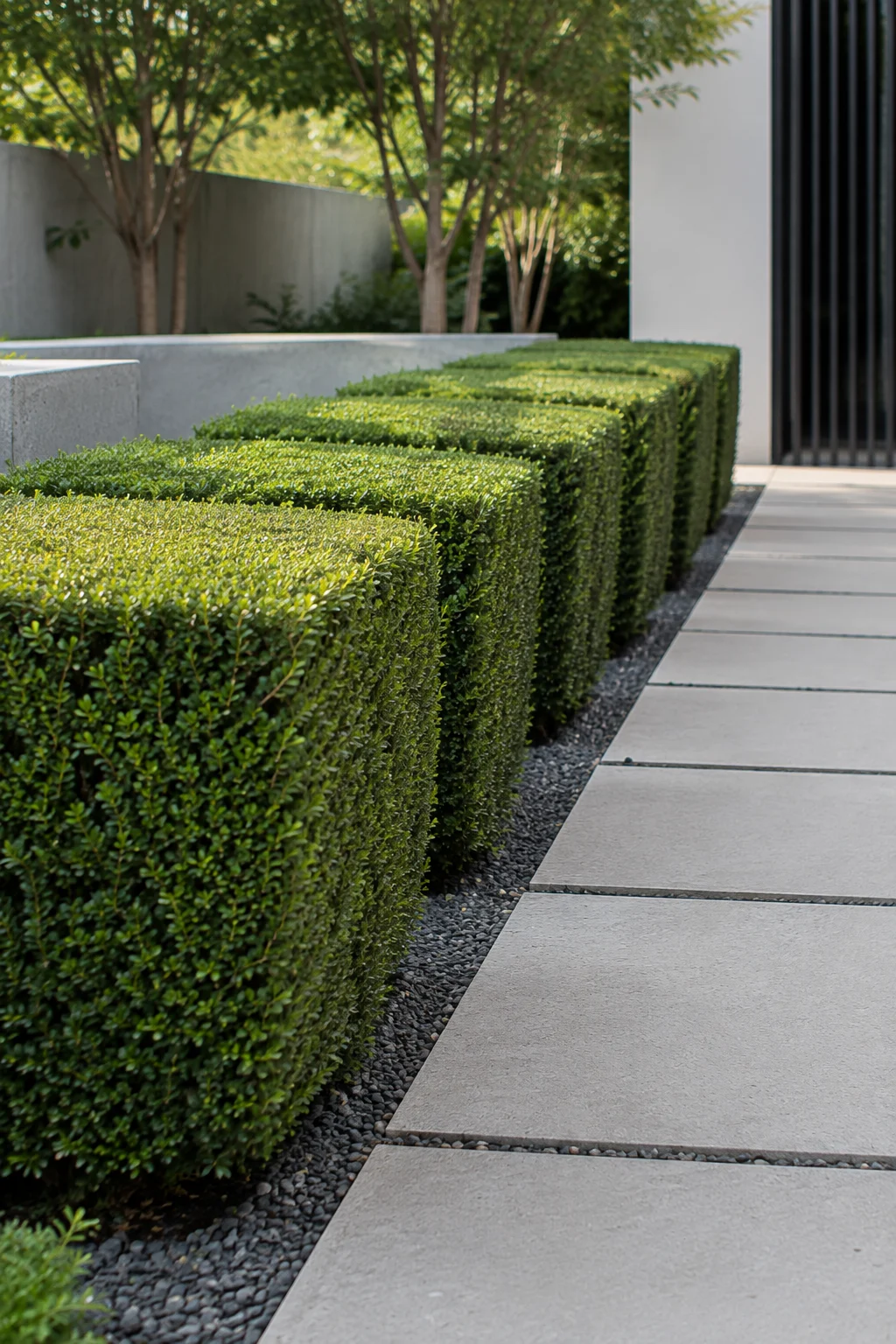structured boxwood blocks modern garden idea
