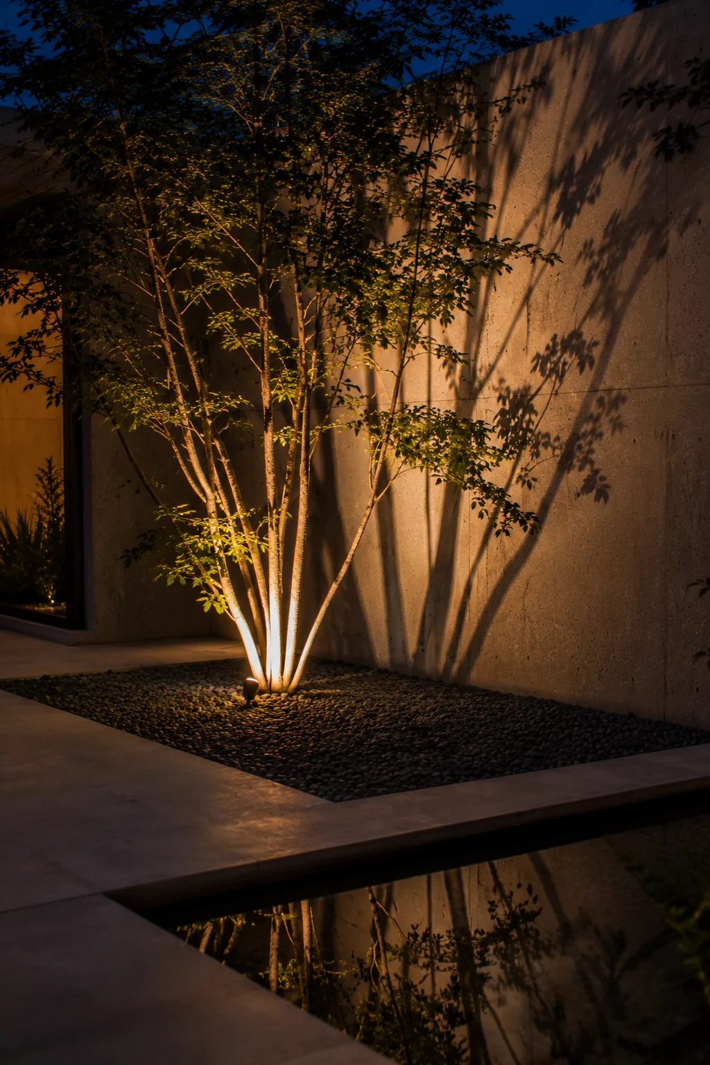 uplighting sculptural tree modern garden idea