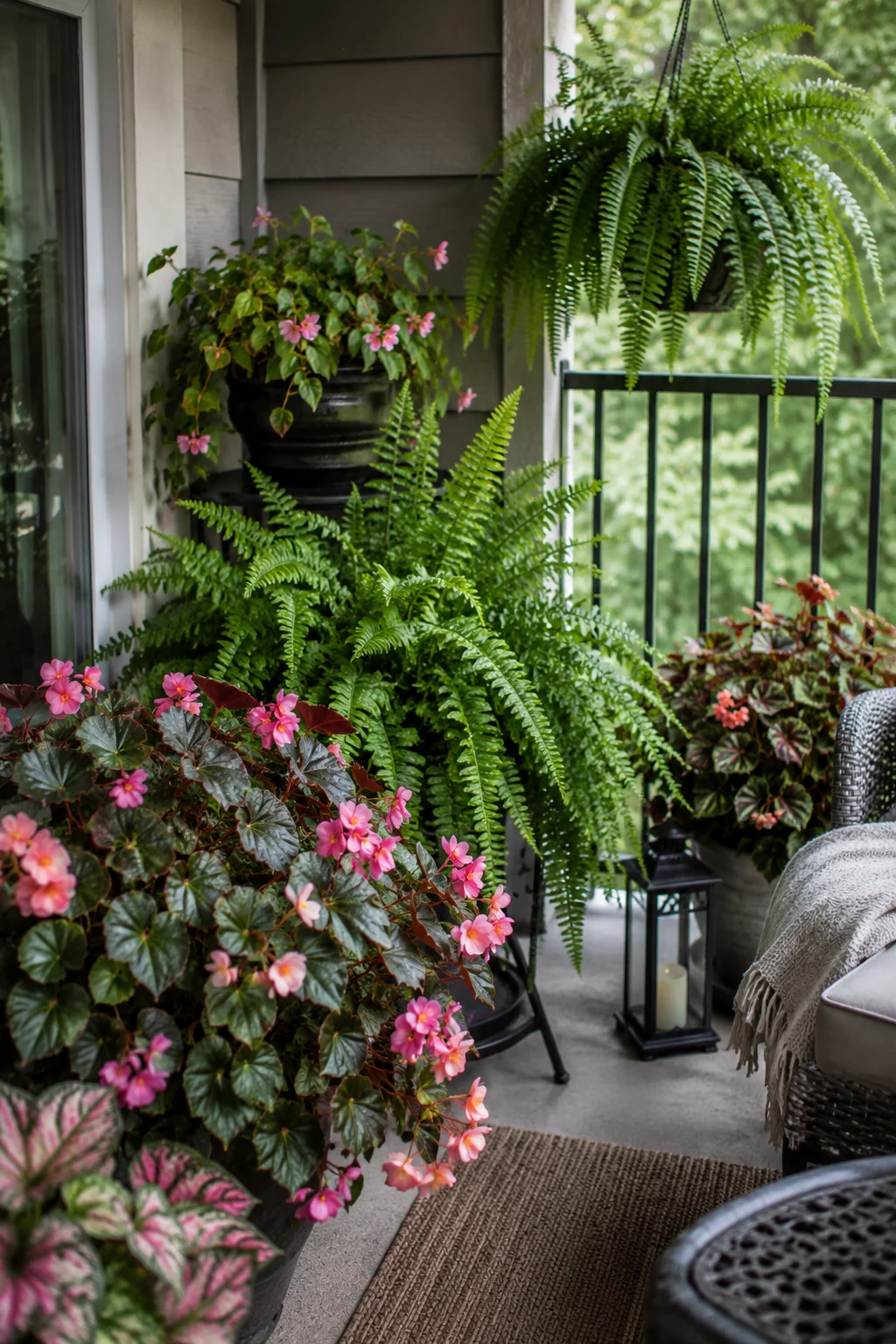 shade tolerant plants balcony garden idea