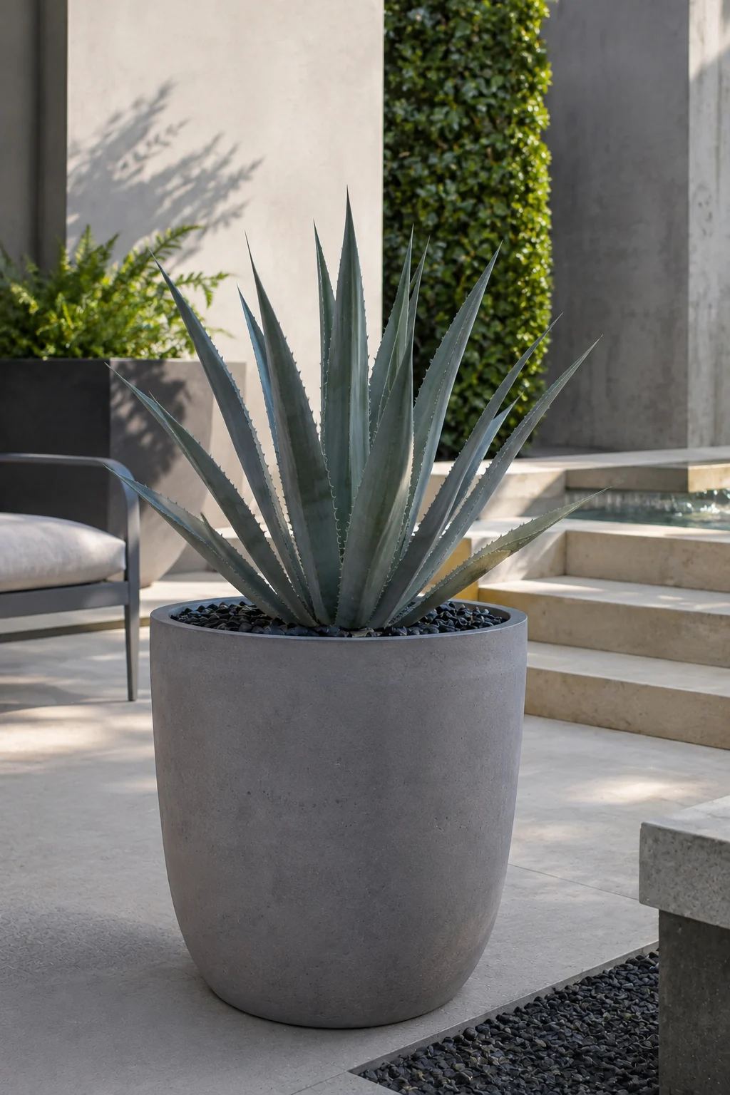 modern minimalist container garden idea