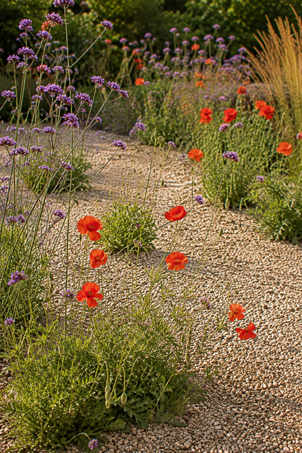 self-seeding wildflowers gravel garden idea