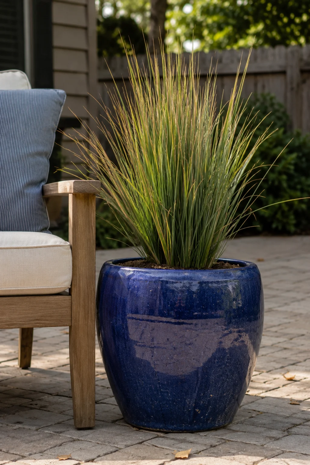 Large cobalt blue glazed ceramic planter on a patio