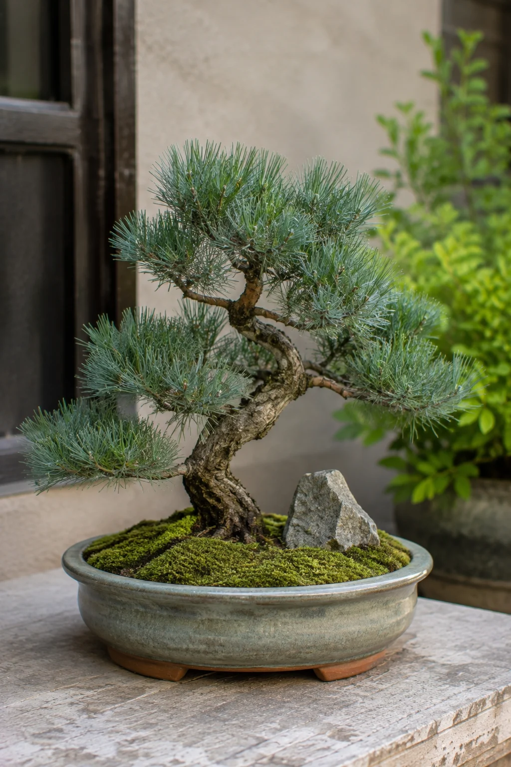 Japanese style container garden idea
